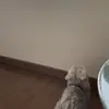 RuthCarol - @user77513577058776 - TikTok