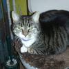 ruthcarroll4480 - @ruthcarroll4480 - TikTok