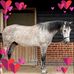 Ruth Cartwright - Facebook