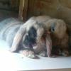 theruthcartwright - @bobfm26 - TikTok