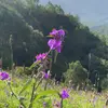 Ruth Castañeda 💟 - @ruth.castaneda.2 - TikTok