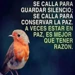 Ruth Cerda - @cerda6358 - Instagram