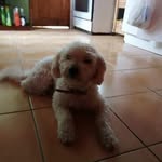 Ruth Cerda Veliz - @ruthcerdaveliz - Instagram