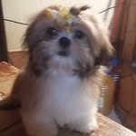 Ruth Claudio - @ruth.claudio.10 - Instagram