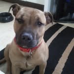 Della Ruth Claxton - @dellaruthclaxton - Instagram