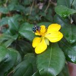 Amrutha Thankarajan - @amruthats_clicks - Instagram