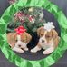 Ruth Glick - Facebook