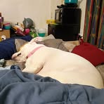 Ruth Close - Facebook