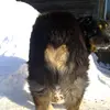 clover_ruth - @clover_ruth_ - TikTok