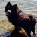 Ruth Colby - Facebook