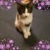 Ruth Colby - Facebook
