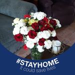 Ruth Shiveley Colwell - @ruthshiveley - Instagram