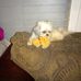 Ruth Conner - Facebook