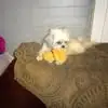 Ruth Conner - @ruth.conner5 - TikTok