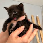 @ruth.cornish168 - Instagram