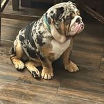 ruth cota - @merlebabies - Instagram