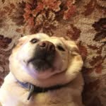 Ruth Cotter - @cotter1415 - Instagram