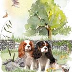 Nancy Cottrill Ruth - @nancy.ruth.oh - Instagram