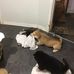 Ruth Cottrill - Facebook