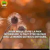 Ruth32 - @www.ruthcouture - TikTok