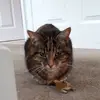 Millie_ya_gal - @ruthcrowther - TikTok