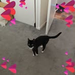 Ruth Crow - Facebook