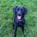 Ruth Crowther - @crowther.ruth - Instagram