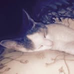 Ruth Cullison - Facebook