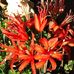 Ruth Dalton - Facebook