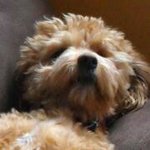 Ruth Dalton - @paintbyruth - Instagram