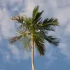 ruthdafeldeckerma - @ruthdafeldeckerma - TikTok