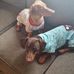 Ruth Depew - Facebook