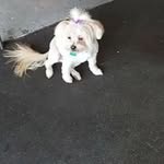 Ruth Derrickson - @ruthderrickson - Instagram