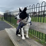 Ruth Devenney Wall - @ruth_devenney - Instagram