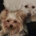 Ruth Dewey - Facebook