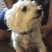 Ruth Dewey - Facebook