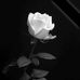 Ruth Dickson - Facebook