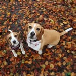 Ruth Ditty - @honey.and_hazel - Instagram