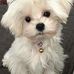 Ruth Dombrowski - Facebook