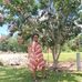 Ruth Dowdell - Facebook