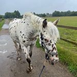 Ruth downey smith - @ruthdowneysmith - Instagram
