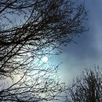Ruth Driver Wrenn - @byrdee00 - Instagram