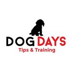 Ruth Duffy - @dogdaystraining - Instagram