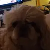 Ruth Dugan - @ruth.dugan - TikTok
