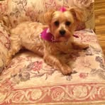 Ruth Dunlap - Facebook