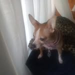 Ruth Dunlap - @ruth.dunlap.7906 - Instagram