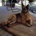 Ruth Durant - Facebook
