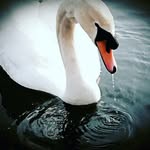 Ruth Earle - @dootsearle - Instagram