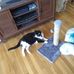 Ruth Ann Eaves - Facebook