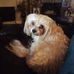 Ruth Eaves - Facebook